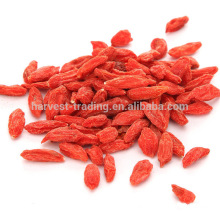 Importar goji ningxia goji berries